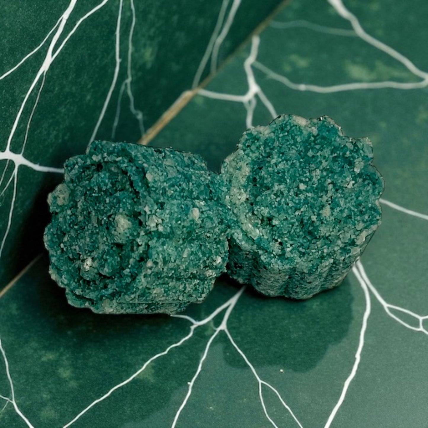 Mix and Match Foaming Bath Salts Fizzers - 4-Pack | Australian Bamboo Grass, Ocean Mist, Island Fresh and Egyptian Musk