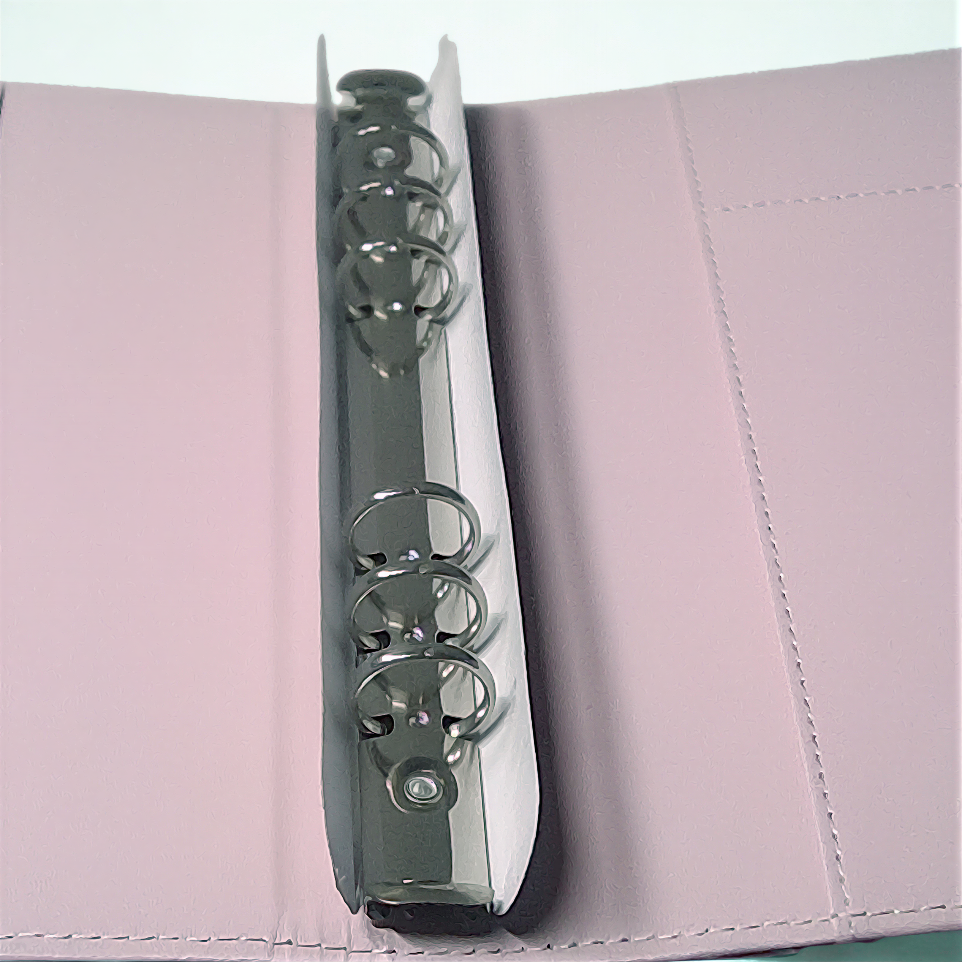A silver metal ring is attached to a pink folder, which is open and visible in the image.