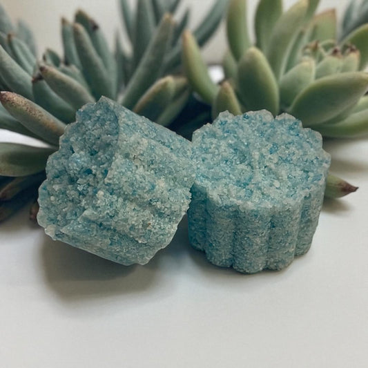 Mix and Match Foaming Bath Salts Fizzers - 4-Pack | Australian Bamboo Grass, Ocean Mist, Island Fresh and Egyptian Musk